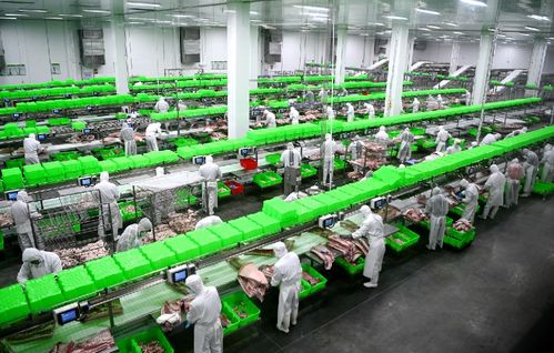 2020，南陽城鄉(xiāng)巨變 三起來戰(zhàn)略如何勁推城市出新出彩